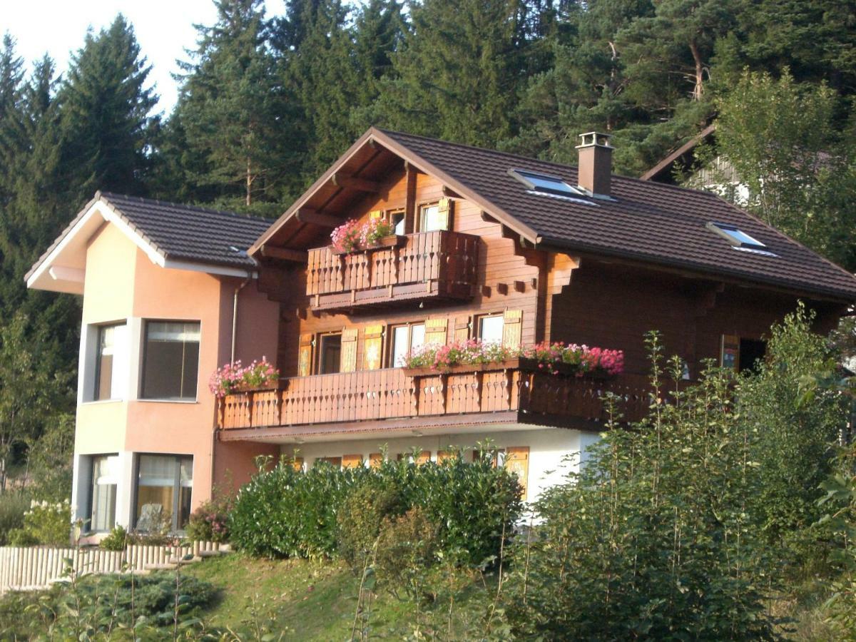 Appartements 5 Personnes Maya Et Louna Xonrupt-Longemer Exterior foto